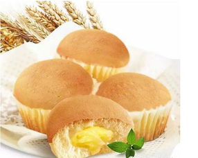 烘焙食品企業(yè)diy的體驗(yàn)營(yíng)銷模式研究