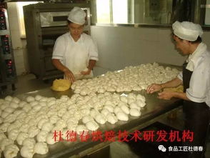 糕點(diǎn)之 消毒 與 滅菌