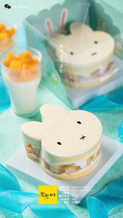 小兔水果蛋糕 沈陽烘焙制造 沈陽食品攝影 沈陽博格奧餐飲設(shè)計(jì) 忽然映象 食品 攝影
